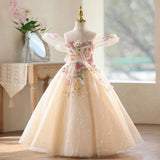 Champagne Floral Embroidery Sparkle Tulle Ball Gown for Wedding Flower Girl Birthday Pageant