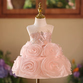 Luxury Pink 3D Rose Flower Girl Dress with Silver Embroidered Bodice