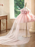 Pink Feather Floral Train Flower Girl Dress | Toddler Birthday Princess Tutu Gown