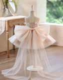 Champagne Feather Flower Girl Dresses for Wedding Toddler Pageant Gown