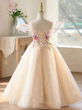 Champagne Floral Embroidery Sparkle Tulle Ball Gown for Wedding Flower Girl Birthday Pageant