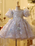 Sparkling Silver Girls Birthday Party Dress - Elegant Tulle Pageant Gown with Puff Sleeves