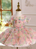 Pink Flower Girl Dress with Veil Multi-Color 3D Floral Kids Birthday Princess Gown