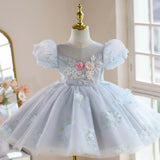 Baby Blue Floral Princess Dress - 3D Rose Sequin Birthday Gown for Toddler - Luxury Lace Puff Sleeve Party Wear