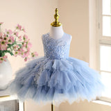 Blue Lace Ruffled Tulle Flower Girl Dress | Sleeveless Kids Birthday Tutu Gown for Piano Performance & Wedding