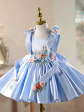 Sky Blue Baby Party Dress Flower Girl Dress with 3D Floral Appliques - Elegant Satin Princess Gown