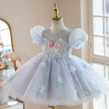 Baby Blue Floral Princess Dress - 3D Rose Sequin Birthday Gown for Toddler - Luxury Lace Puff Sleeve Party Wear