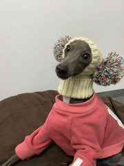 Handmade Knitted Dog Hat for Italian Greyhounds & Whippets – Warm Winter Pet Hat