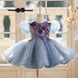 Baby Blue Sequin Birthday Dress - Floral Tutu Princess Gown for Infant & Toddler - Luxury Puff Sleeve Party Wear
