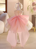 Champagne Flower Girl Dress with Big Bow Train 3D Floral Kids Birthday Princess Gown