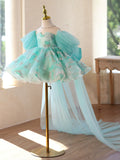 Turquoise Glitter Butterfly Tulle Flower Girl Dress With Removable Long Train for Wedding Birthday