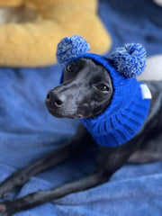 Handmade Knitted Dog Hat for Italian Greyhounds & Whippets – Warm Winter Pet Hat