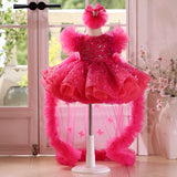 Fuchsia Pink Butterfly Detachable Train Flower Girl Dress | Toddler Pageant Birthday Gown
