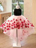 Black Velvet High Neck Pink Hi-Low Tulle 3D Red Flower Girl Dress