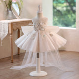 Champagne Feather Flower Girl Dresses for Wedding Toddler Pageant Gown