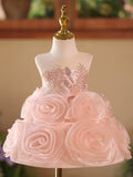 Luxury Pink 3D Rose Flower Girl Dress with Silver Embroidered Bodice