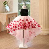Black Velvet High Neck Pink Hi-Low Tulle 3D Red Flower Girl Dress