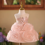 Luxury Pink 3D Rose Flower Girl Dress with Silver Embroidered Bodice