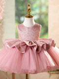Sparkly Pink Ruffle Waist Puffy Tulle Toddler Flower Girl Dress for Wedding Baptism Birthday