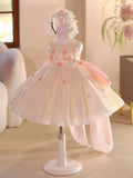 Champagne Flower Girl Dress with Big Bow Train 3D Floral Kids Birthday Princess Gown