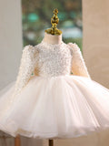 Sparkly Long Sleeve Flower Girl Dress Baby Birthday Party Gown with Bow Headband