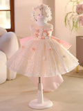 Champagne Flower Girl Dress with Big Bow Train 3D Floral Kids Birthday Princess Gown