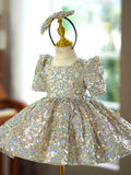 Iridescent Sequin Flower Girl Dress Puff Sleeve Princess Birthday Gown for Piano Performance