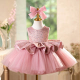 Sparkly Pink Ruffle Waist Puffy Tulle Toddler Flower Girl Dress for Wedding Baptism Birthday