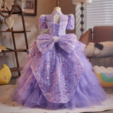Sparkling Purple Princess Pageant Flower Girl Dress |Girls Sequin Party Ball Gown