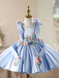 Sky Blue Baby Party Dress Flower Girl Dress with 3D Floral Appliques - Elegant Satin Princess Gown