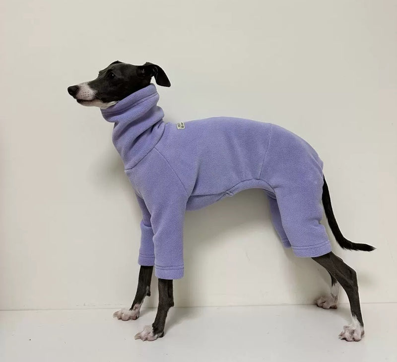 Sighthounds dog breed guide