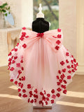 Black Velvet High Neck Pink Hi-Low Tulle 3D Red Flower Girl Dress