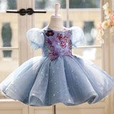 Baby Blue Sequin Birthday Dress - Floral Tutu Princess Gown for Infant & Toddler - Luxury Puff Sleeve Party Wear