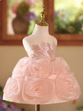Luxury Pink 3D Rose Flower Girl Dress with Silver Embroidered Bodice