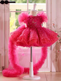 Fuchsia Pink Butterfly Detachable Train Flower Girl Dress | Toddler Pageant Birthday Gown