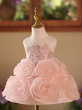 Luxury Pink 3D Rose Flower Girl Dress with Silver Embroidered Bodice