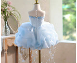 Light Blue Flower Girl Dress for Wedding | Kids Birthday Party Gown Jellyfish Tassel